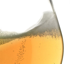 Sloshing foam n beer. (Image: P.T. Brun and F. Viola)